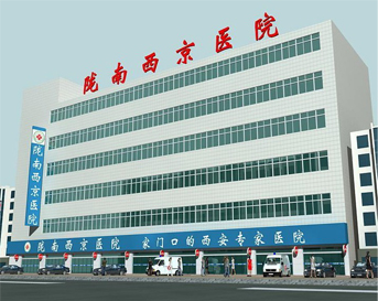 陇南西京医院